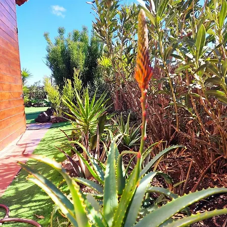Coco - 3 Bedrooms & Stunning Sea Views Lajares